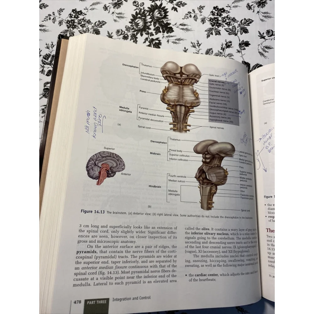 Anatomy Physiology The Unity of Form and Function Saladin 1998 Hardcover Book